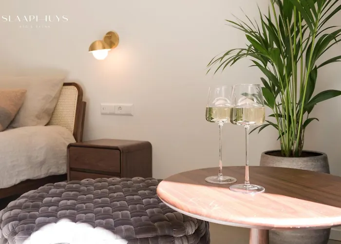 Slaaphuys Bed & Sauna アパート